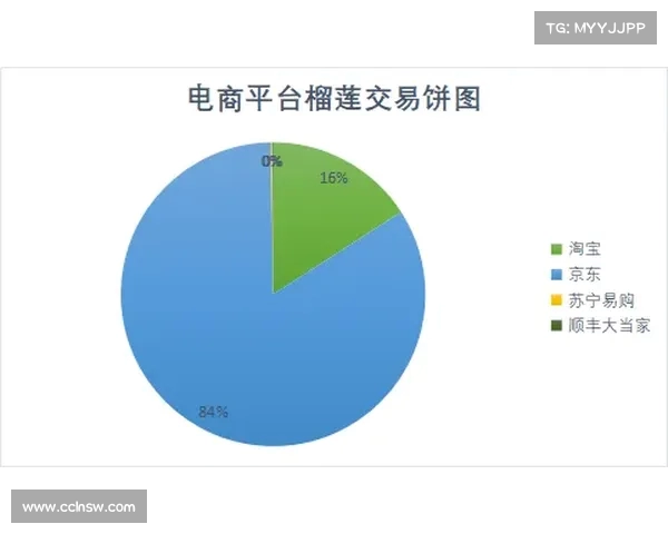 网球比赛规则详解与策略分析,助你成为场上赢家 网球比赛规则详解与策略分析,助你成为场上赢家