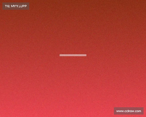 欧冠赛场中卫表现分析与战术角色的关键影响解析