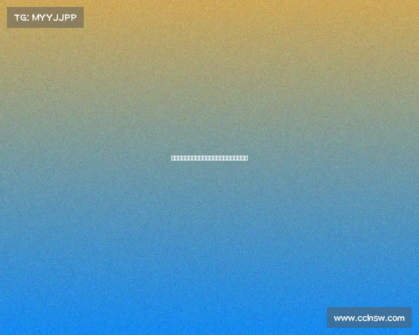 齐沃希望弗拉泰西留队增加出场时间并提供新合同