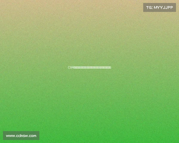 CBA外援对联赛水平提升的影响及球队建设中的关键作用分析