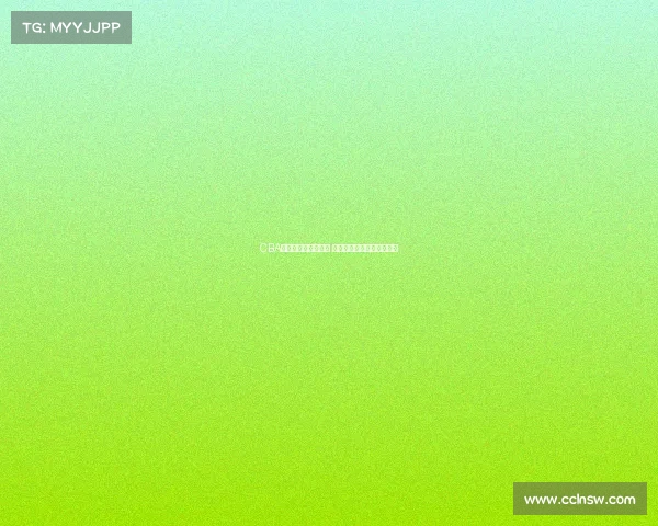 CBA国际影响力持续提升 外籍球员加盟引发全球关注